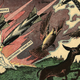 Illustration for article titled 42 Visions For Tomorrow From The Golden Age of Futurism